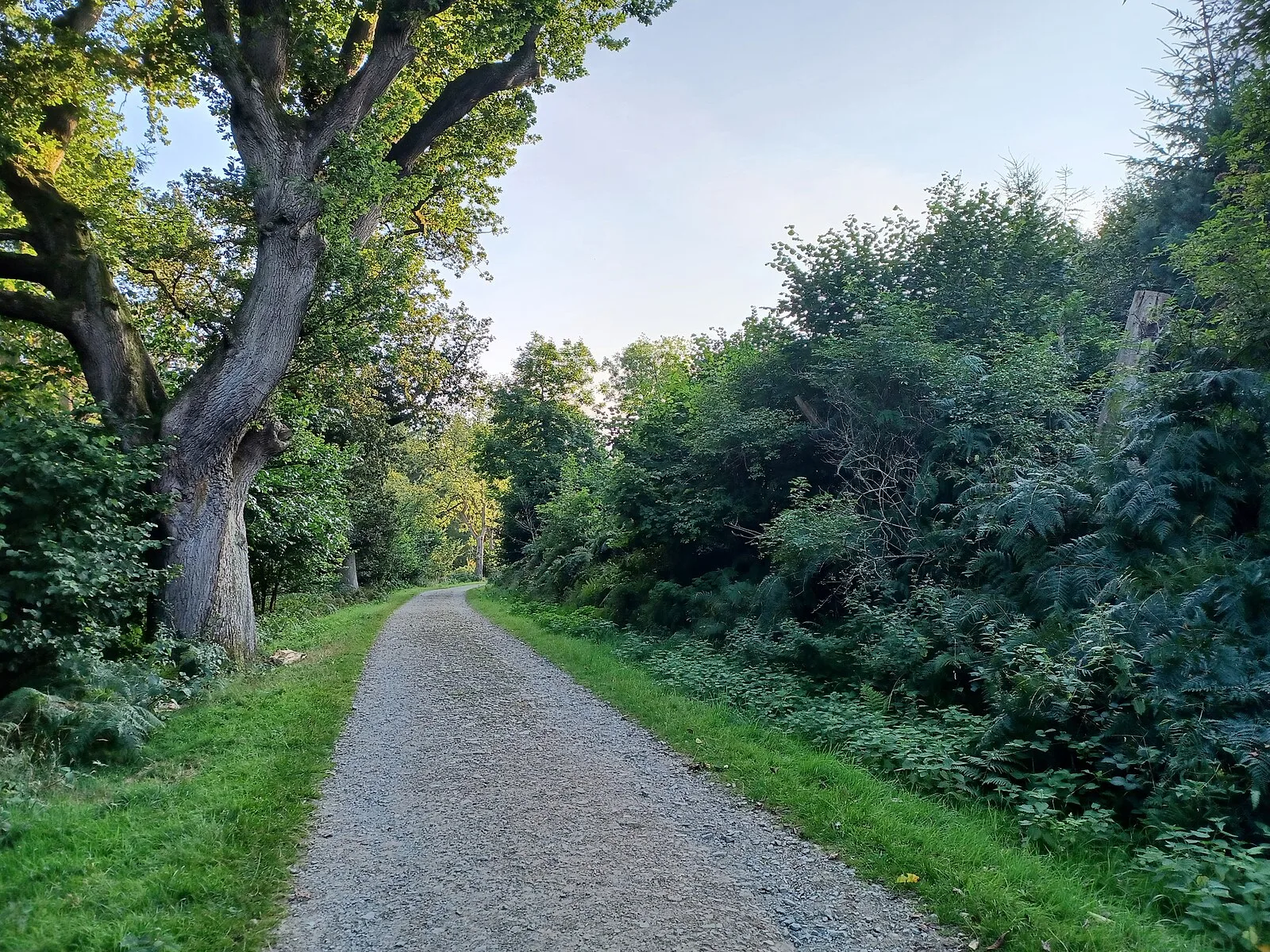 Breidden Hill